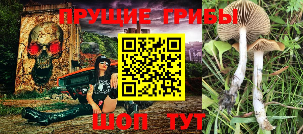 Галлюциногенные грибы мухоморы Тамбов